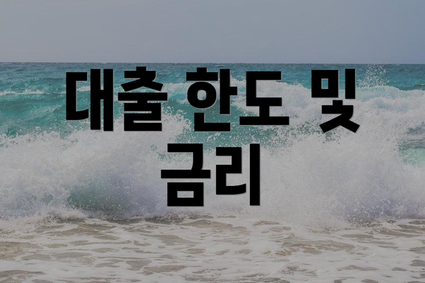 대출 한도 및 금리