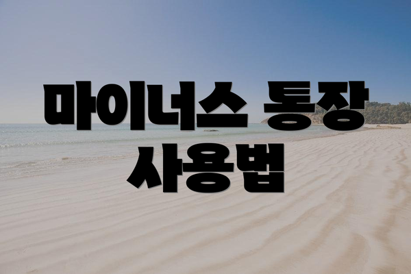 마이너스 통장 사용법