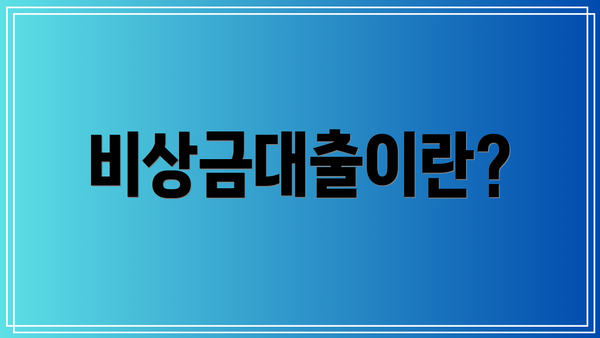 비상금대출이란?