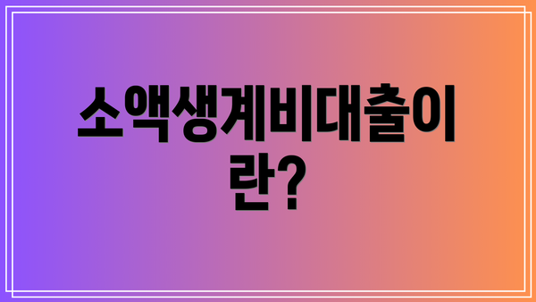 소액생계비대출이란?