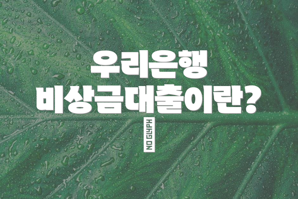 우리은행 비상금대출이란? 💸