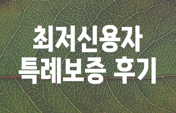 최저신용자 특례보증 후기