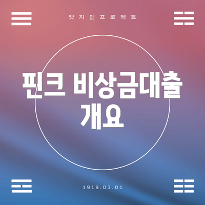 핀크 비상금대출 개요