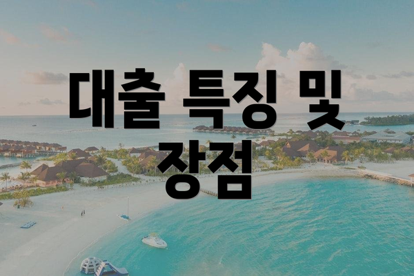 대출 특징 및 장점