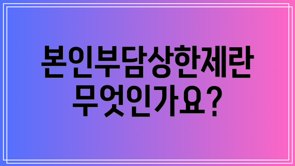 본인부담상한제란 무엇인가요?