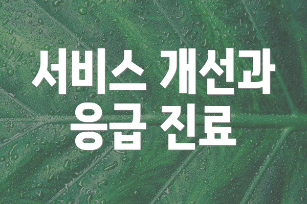 서비스 개선과 응급 진료