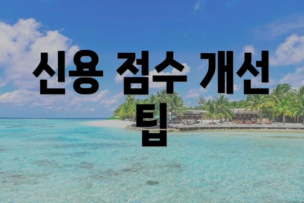 신용 점수 개선 팁