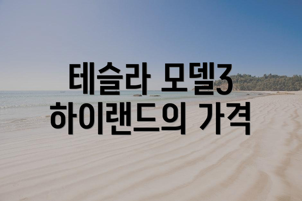 테슬라 모델3 하이랜드의 가격