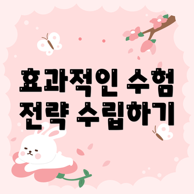 효과적인 수험 전략 수립하기