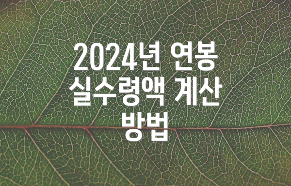 2024년 연봉 실수령액 계산 방법