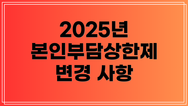 2025년 본인부담상한제 변경 사항