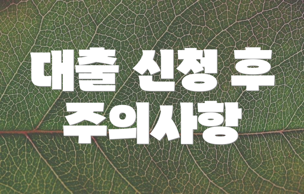 대출 신청 후 주의사항