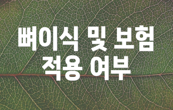뼈이식 및 보험 적용 여부