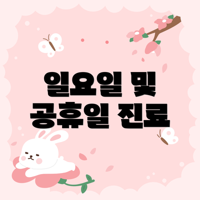 일요일 및 공휴일 진료