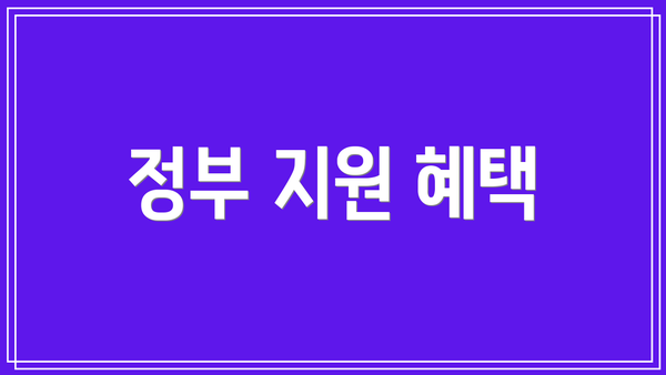 정부 지원 혜택