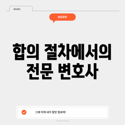 합의 절차에서의 전문 변호사