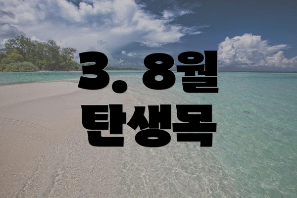 3. 8월 탄생목