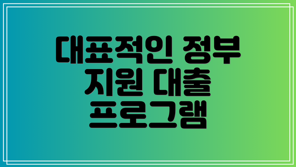 대표적인 정부 지원 대출 프로그램