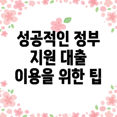 성공적인 정부 지원 대출 이용을 위한 팁