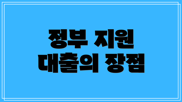 정부 지원 대출의 장점