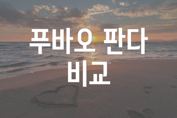 푸바오 판다 비교