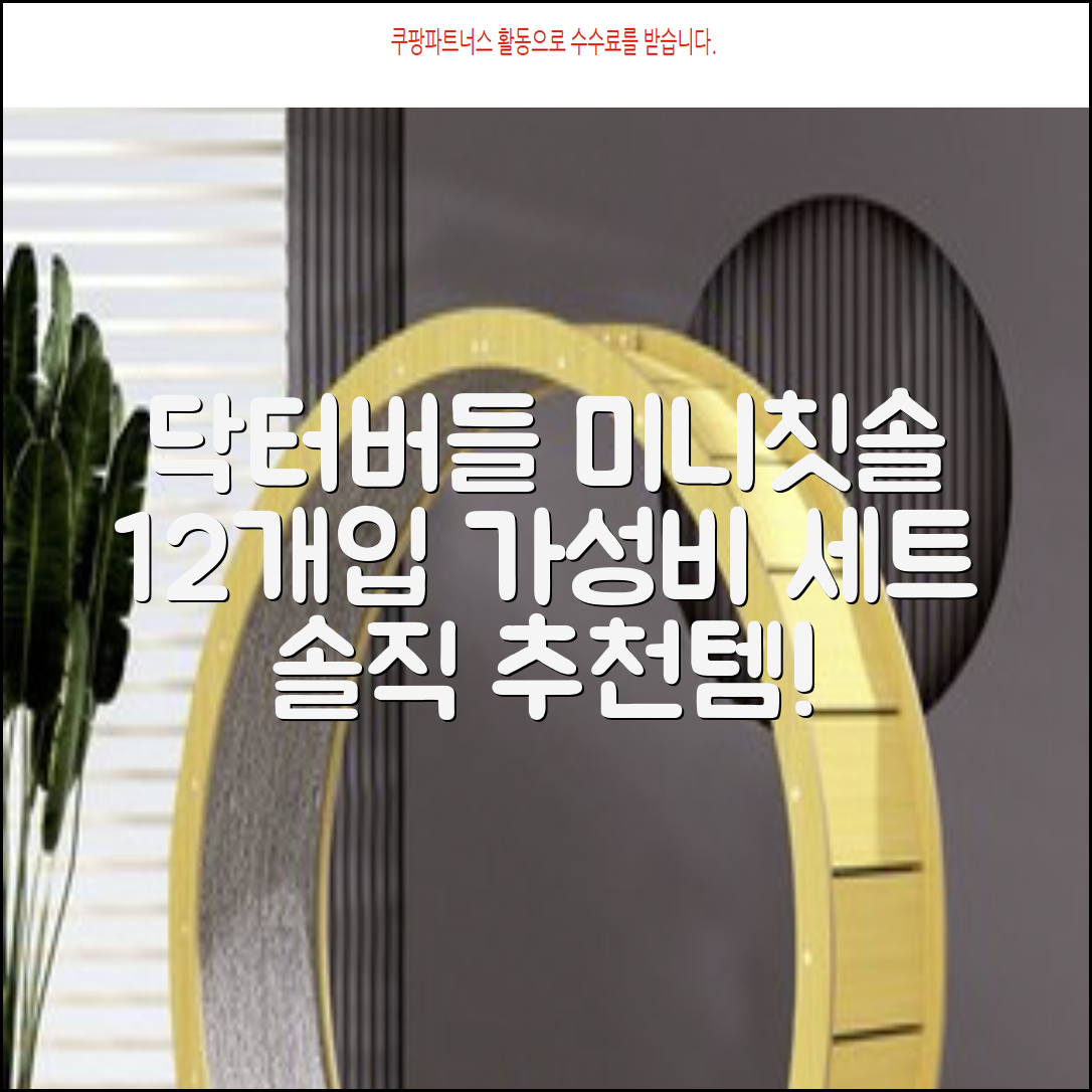 닥터버들 미니헤드 칫솔 세트, 12개입, 1개 추천 리뷰