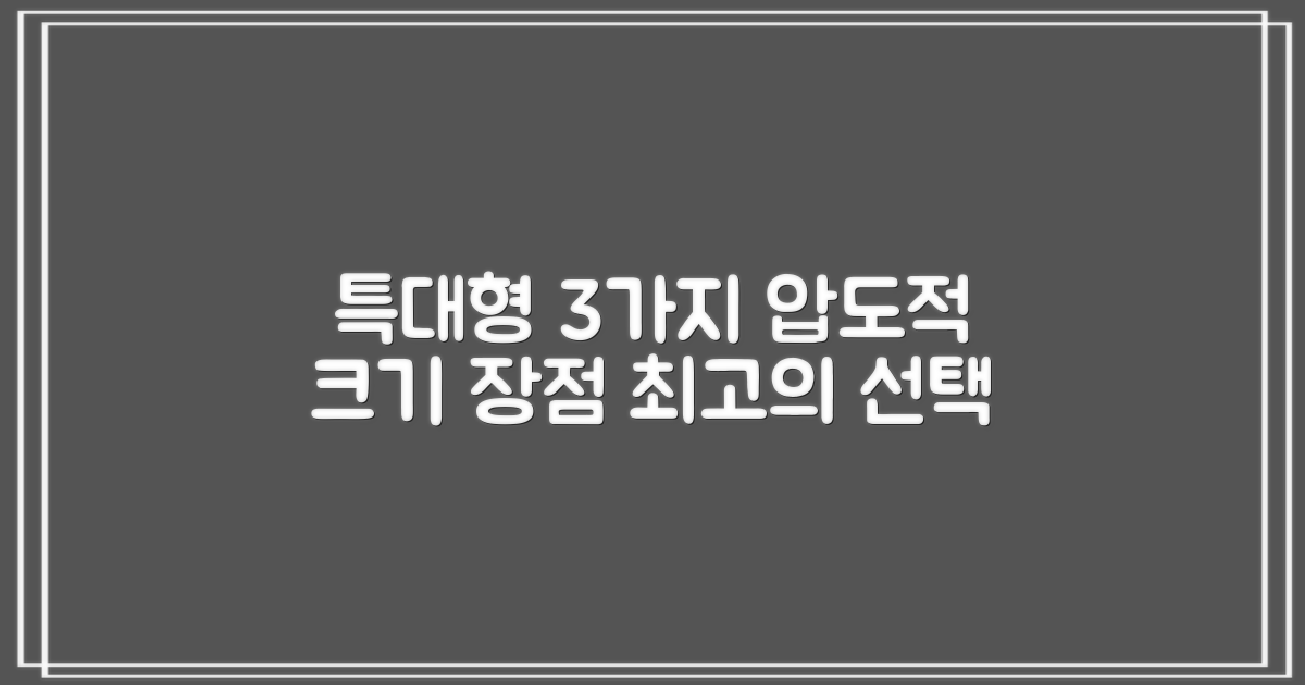 3가지 특대형 크기 장점