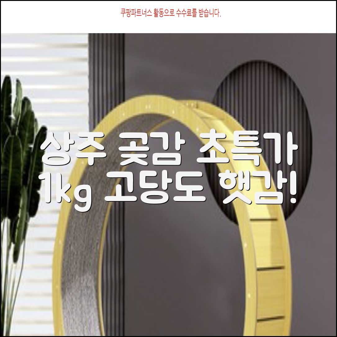 상주 곶감 초특가 1kg 고당도 햇감, 1개 추천 리뷰