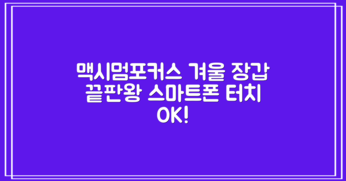 맥시멈포커스 스마트폰 터치 겨울 방한장갑 추천 리뷰