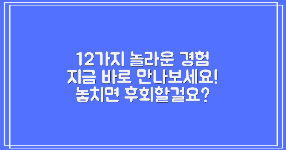 12개, 지금 경험해보세요