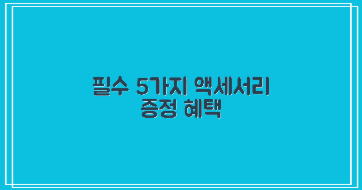 5가지 필수 액세서리 증정