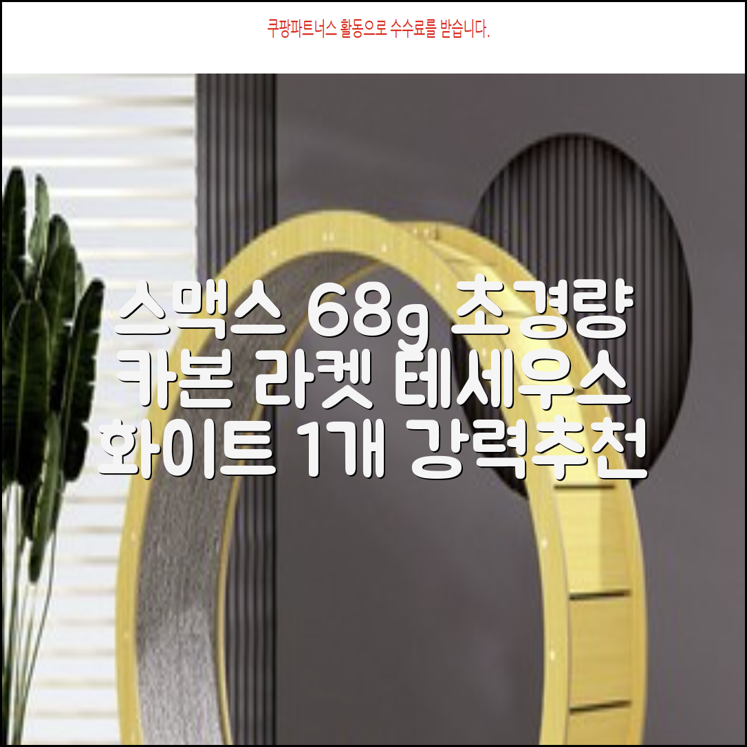 스맥스코리아 풀카본 초경량 배드민턴 라켓 68g, 테세우스 화이트, 1개 추천 리뷰