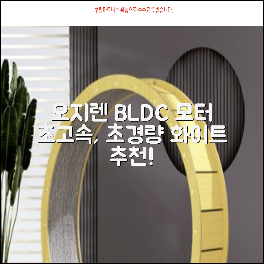 오지렌 초고속 고출력 초경량 음이온 BLDC 모터 헤어 드라이기, 화이트 추천 리뷰